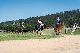 Reitunterricht für Gruppen im Bayerischen Wald